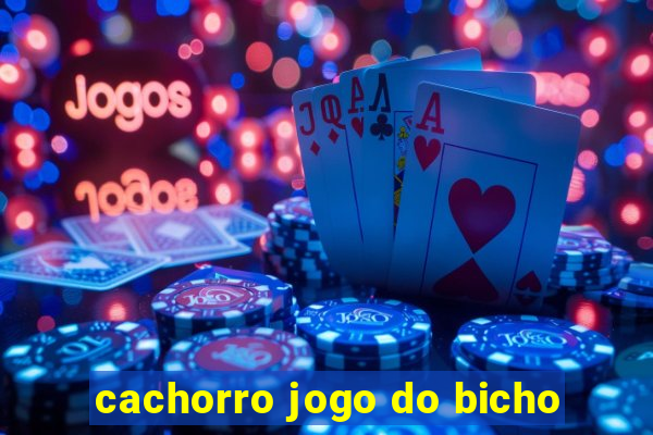 cachorro jogo do bicho